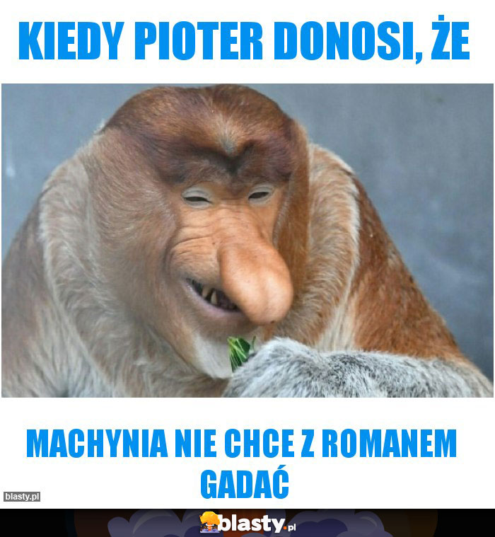 Kiedy Pioter donosi, że