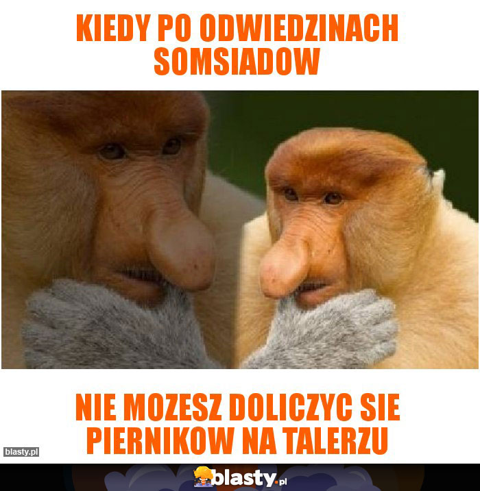 Kiedy po odwiedzinach somsiadow