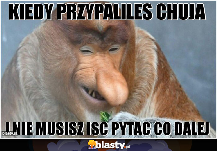 Kiedy przypaliles chuja