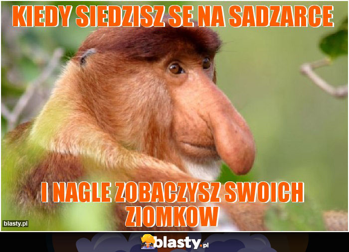 Kiedy siedzisz se na sadzarce