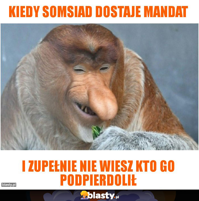 Kiedy somsiad dostaje mandat