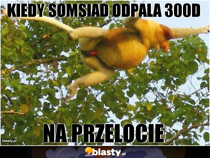 Kiedy somsiad odpala 300d