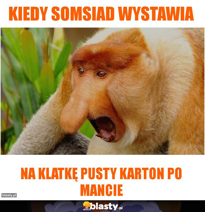 Kiedy somsiad wystawia