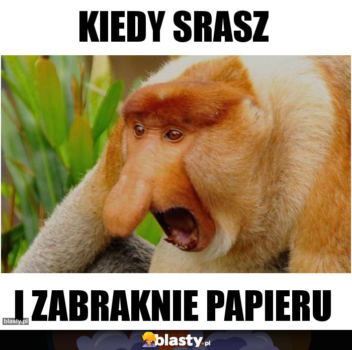 Kiedy srasz