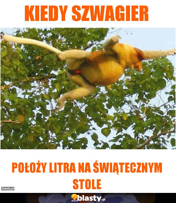 Kiedy szwagier