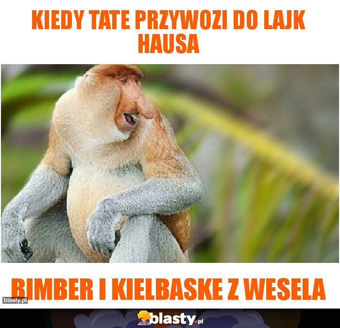 Kiedy tate przywozi do lajk hausa