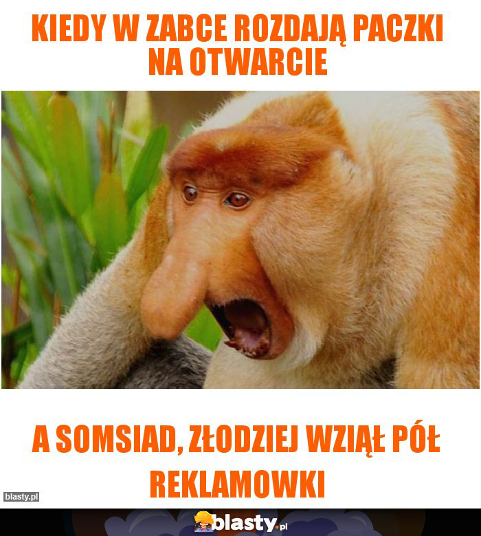 Kiedy w Zabce rozdają paczki na otwarcie