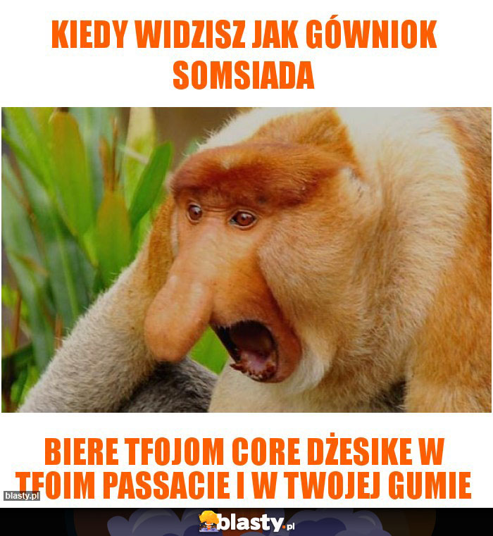 Kiedy widzisz jak gówniok somsiada