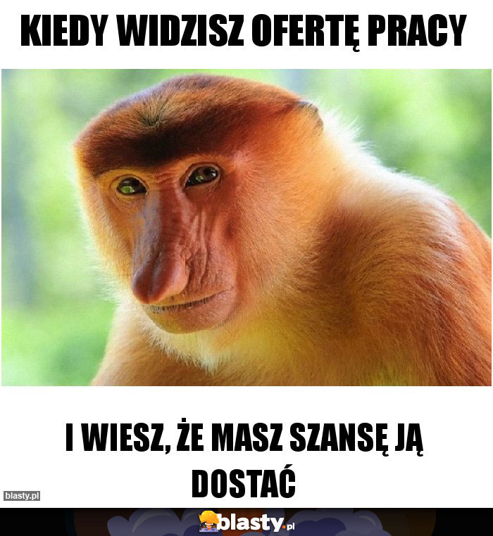 Kiedy widzisz ofertę pracy