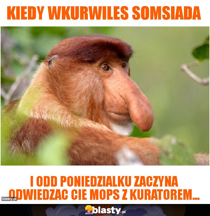 Kiedy wkurwiles somsiada