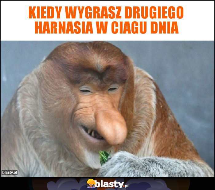 kiedy wygrasz drugiego harnasia w ciagu dnia