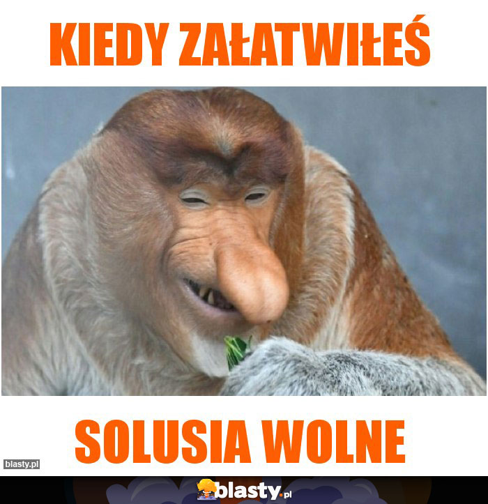 Kiedy załatwiłeś