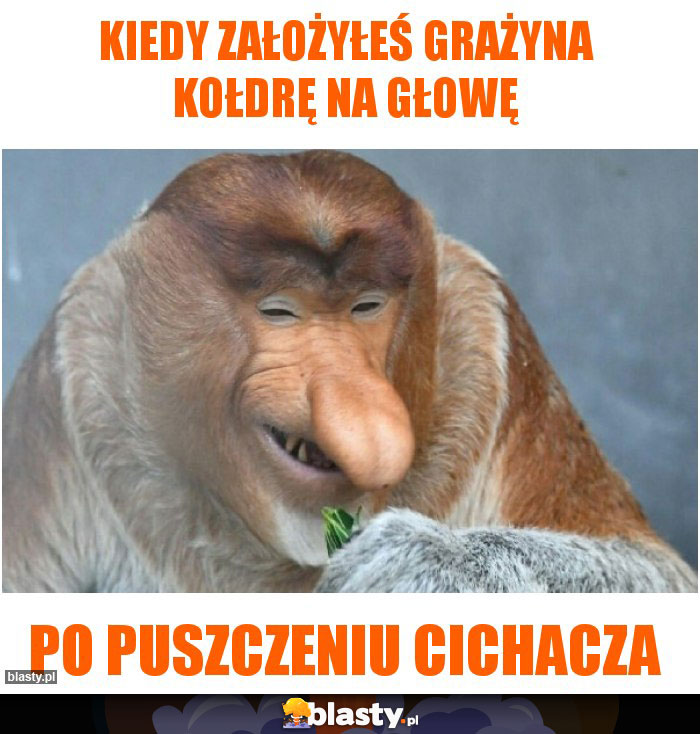 Kiedy założyłeś Grażyna kołdrę na głowę