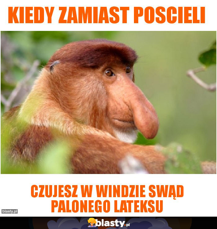 Kiedy zamiast poscieli