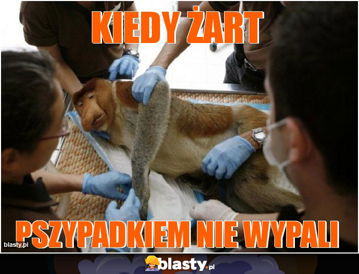 kiedy żart