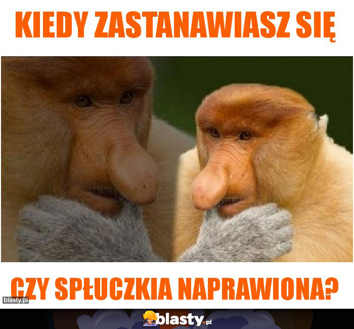 kiedy zastanawiasz się