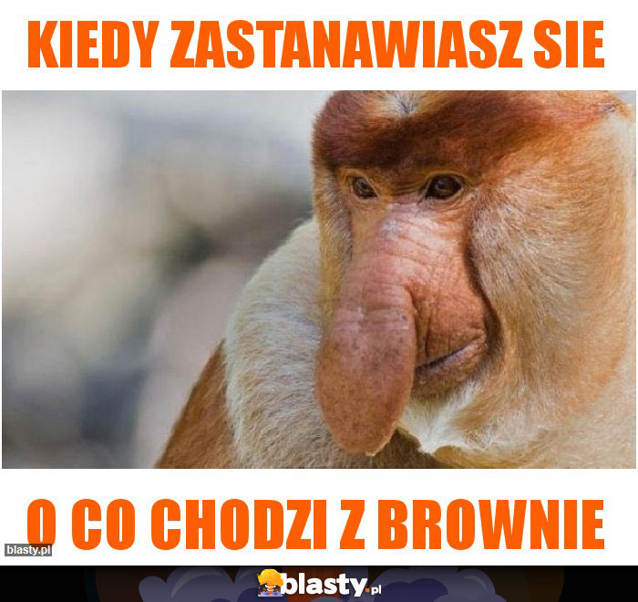 Kiedy zastanawiasz sie