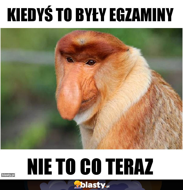 Kiedyś to były egzaminy