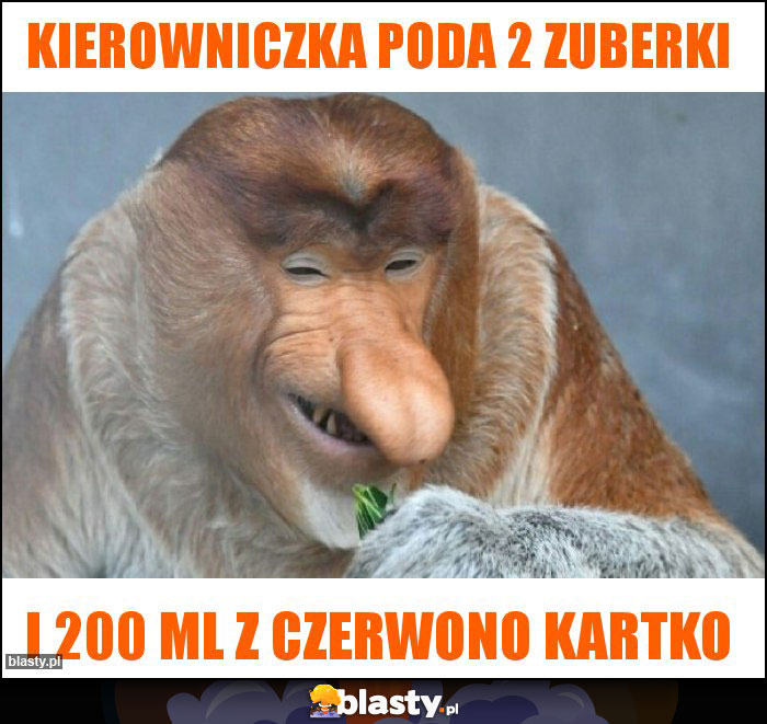 Kierowniczka poda 2 zuberki