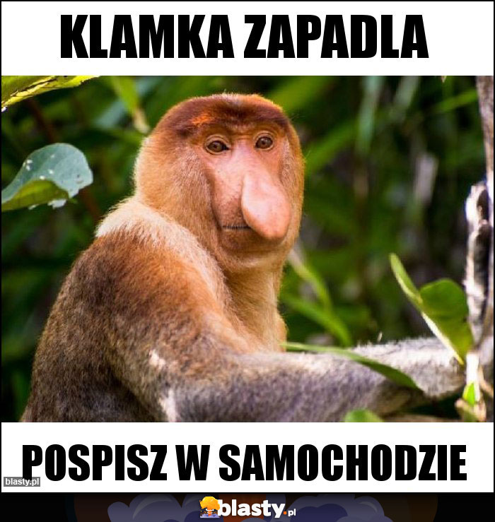 Klamka zapadla