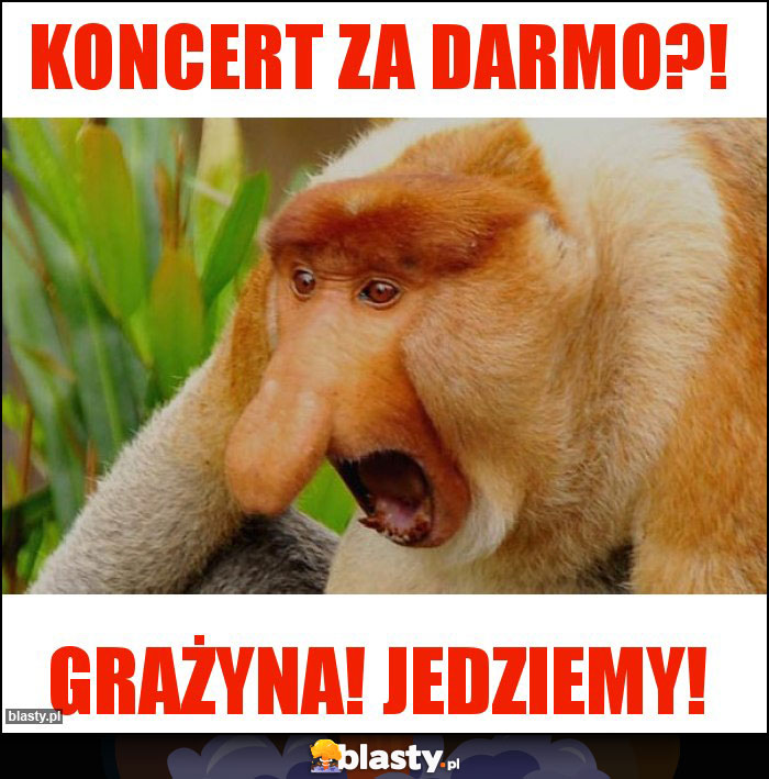 Koncert za darmo?!