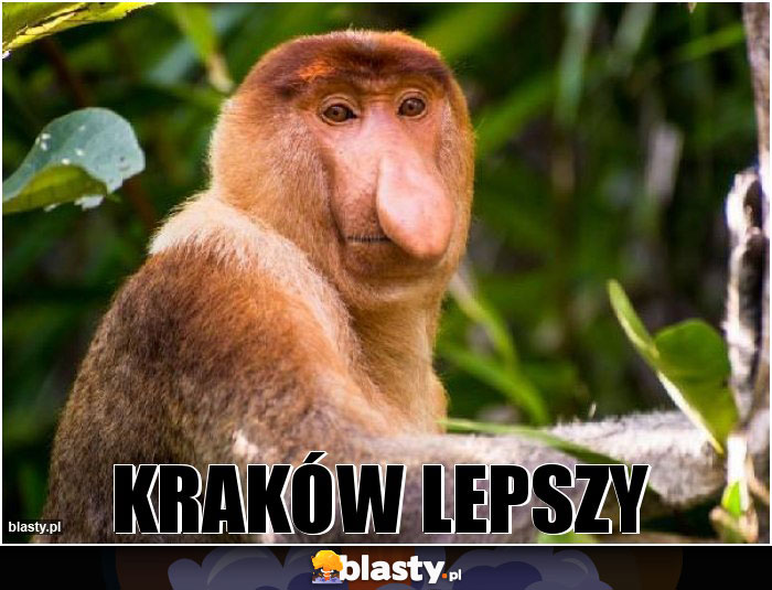 Kraków lepszy