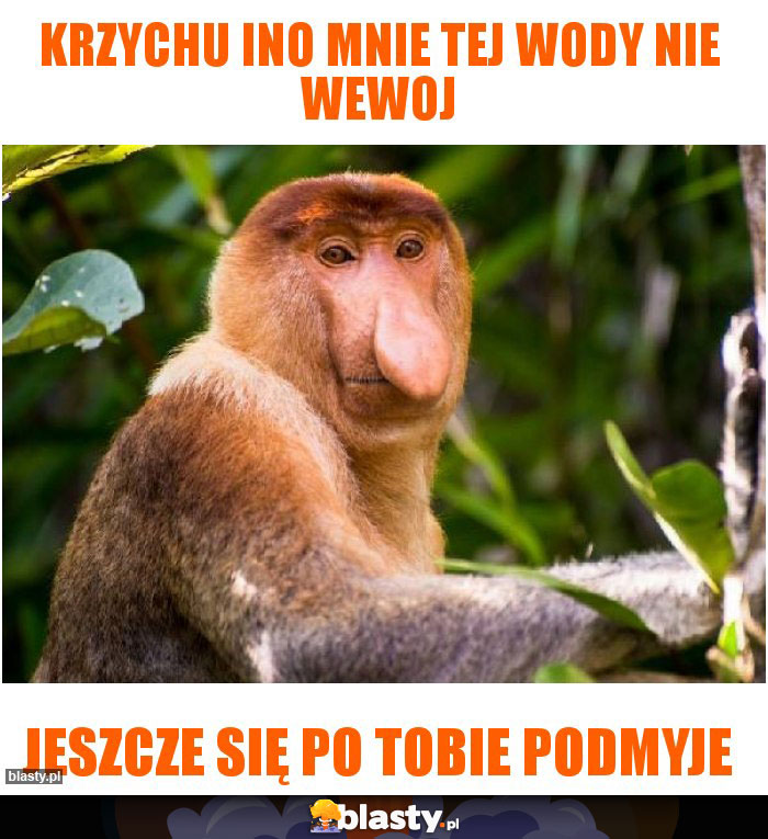 Krzychu ino mnie tej wody nie wewoj