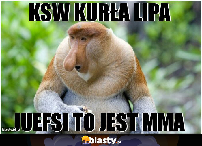 KSW kurła lipa