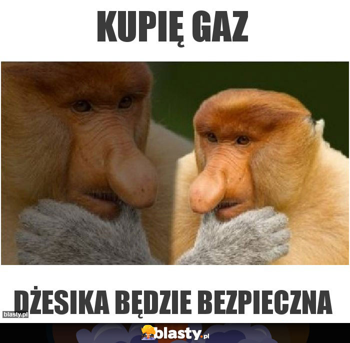 Kupię gaz