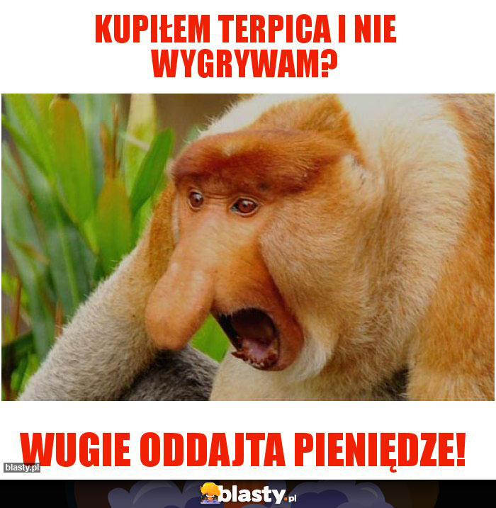 Kupiłem Terpica i nie wygrywam?