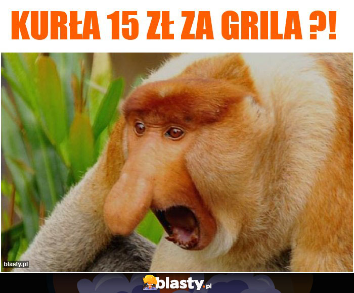 Kurła 15 zł za grila ?!