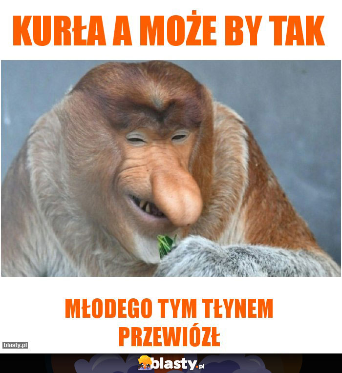 Kurła a może by tak