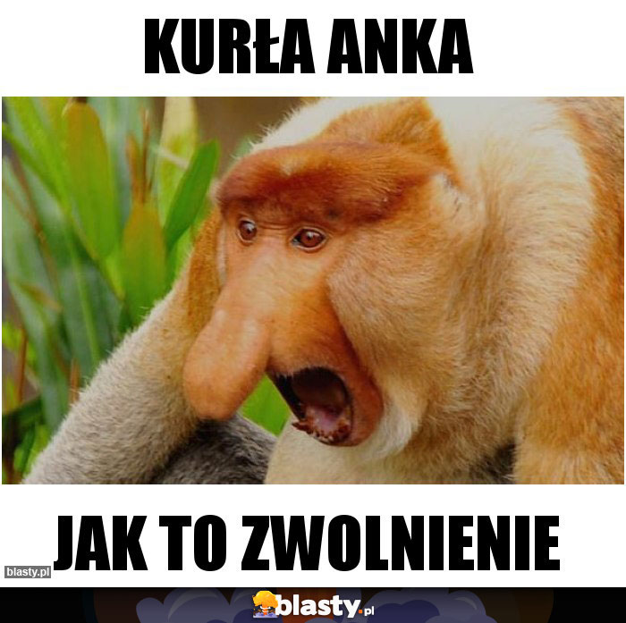 KURŁA ANKA