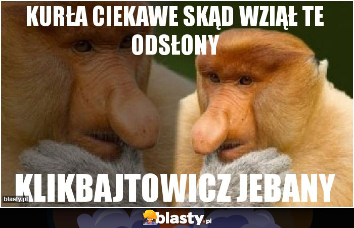 Kurła ciekawe skąd wziął te odsłony