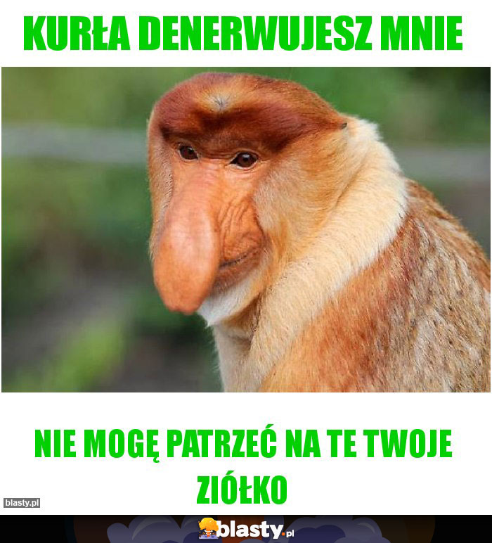 Kurła denerwujesz mnie