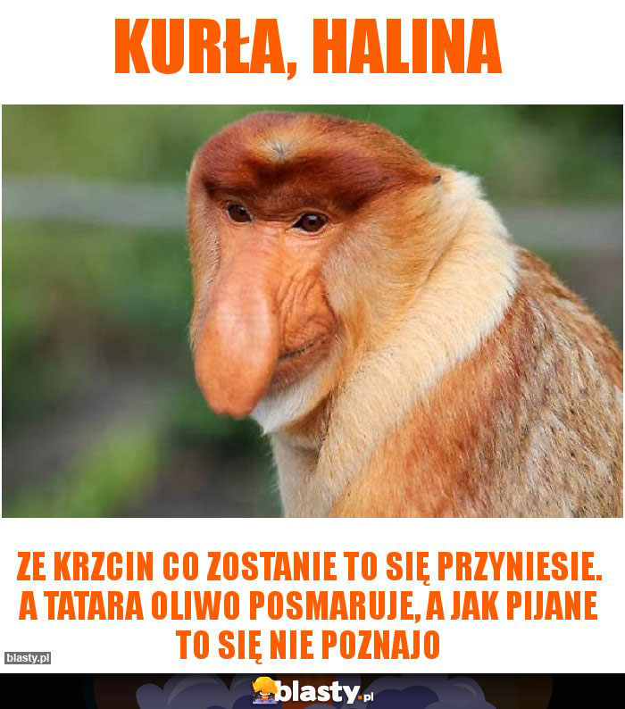 Kurła, Halina