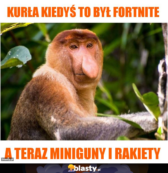 Kurła kiedyś to był fortnite