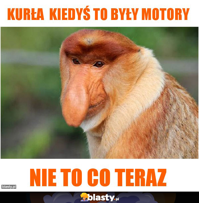 Kurła  kiedyś to były motory