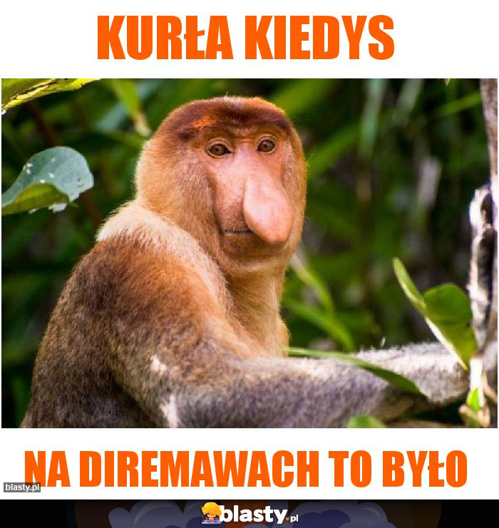 kurła kiedys