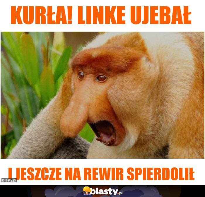 kurła! linke ujebał