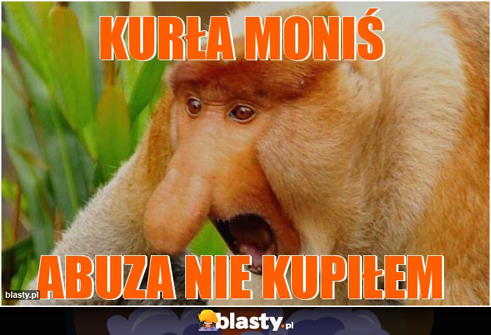 KURŁA MONIŚ