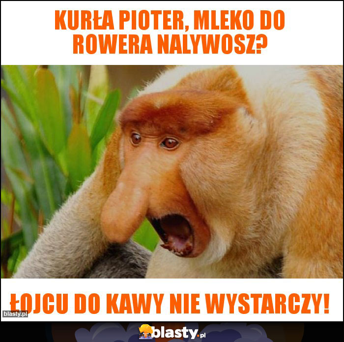 kurła pioter, mleko do rowera nalywosz?