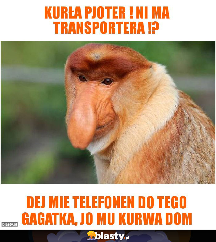 Kurła Pjoter ! Ni ma transportera !?