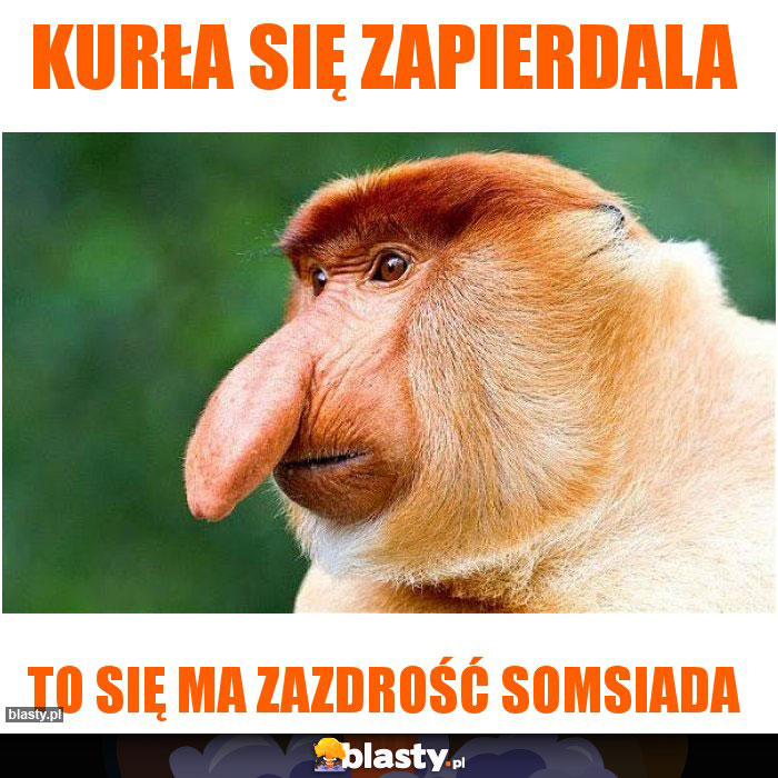 kurła się zapierdala