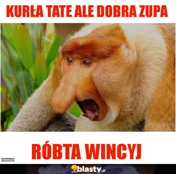 kurła tate ale dobra zupa