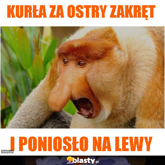 Kurła za ostry zakręt