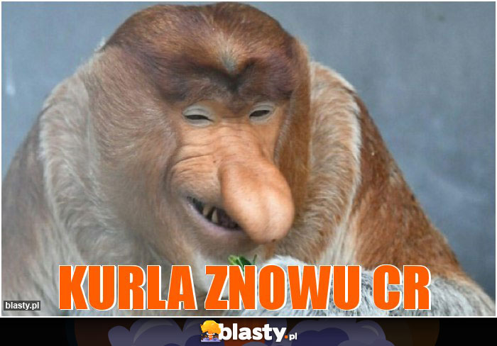 Kurla znowu CR