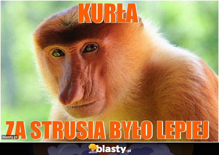 Kurła