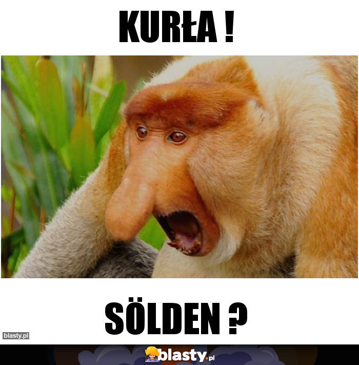 KURŁA !