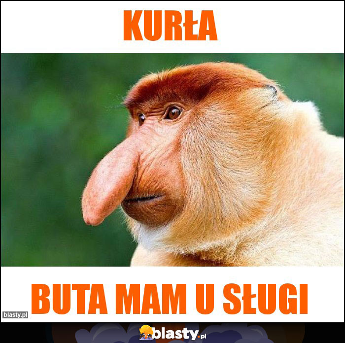 KURŁA